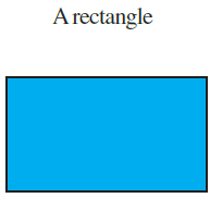 NCERT Solutions for Class 7 Maths Chapter 15 Visualising Solid Shapes Image 70