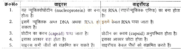 UP Board Solutions for Class 11 Biology Chapter 2 Biological Classification image 1