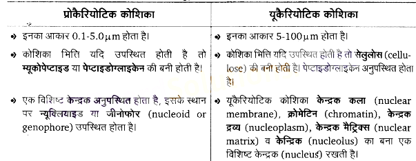UP Board Solutions for Class 11 Biology Chapter 8 Cell The Unit of Life image 8