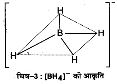 UP Board Solutions for Class 11 Chemistry Chapter 11 The p-block Elements img-8