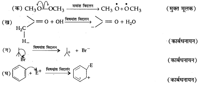 UP Board Solutions for Class 11 Chemistry Chapter 12 Organic Chemistry Some Basic Principles and Techniques img-21