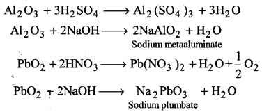 UP Board Solutions for Class 11 Chemistry Chapter 11 The p-block Elements img-32