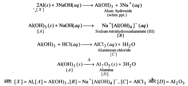 UP Board Solutions for Class 11 Chemistry Chapter 11 The p-block Elements img-34