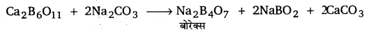 UP Board Solutions for Class 11 Chemistry Chapter 11 The p-block Elements img-53