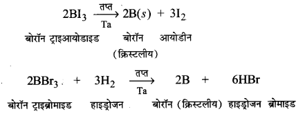 UP Board Solutions for Class 11 Chemistry Chapter 11 The p-block Elements img-77
