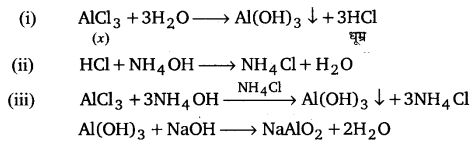 UP Board Solutions for Class 11 Chemistry Chapter 11 The p-block Elements img-87