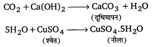 UP Board Solutions for Class 11 Chemistry Chapter 12 Organic Chemistry Some Basic Principles and Techniques img-97