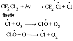 UP Board Solutions for Class 11 Chemistry Chapter 14 Environment Chemistry img-11