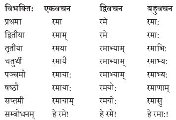 Abhyasvan Bhav Sanskrit Class 9 Solutions Chapter 10 शब्दरूपाणि 4