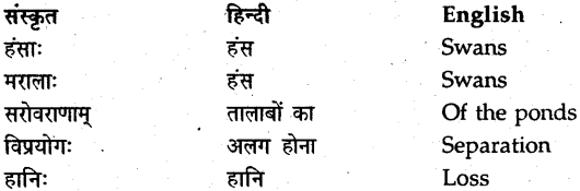 NCERT Solutions for Class 9 Sanskrit Shemushi Chapter 5 सूक्तिमौक्तिकम् 8