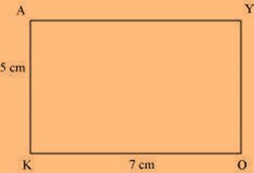 NCERT Solution For Class 8 Maths Chapter 4 Image 41