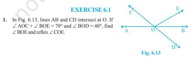image 76 Rbse Solutions for Class 9 Maths Chapter 6 Exercise: 6.1| LINES AND ANGLES